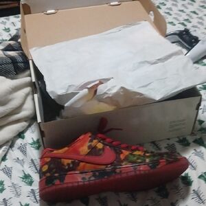 Nike Sb Dunk Wizard Of Oz